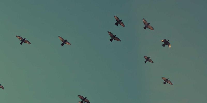 外地户口在长沙学车全攻略:C1/C2驾照所需材料与避坑指南