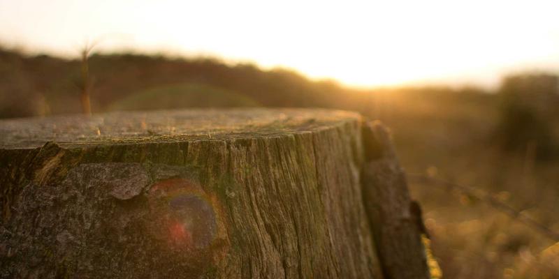 长沙夜间学车全攻略：上班族如何高效考取C1驾照？天鹏驾校夜间班深度解析