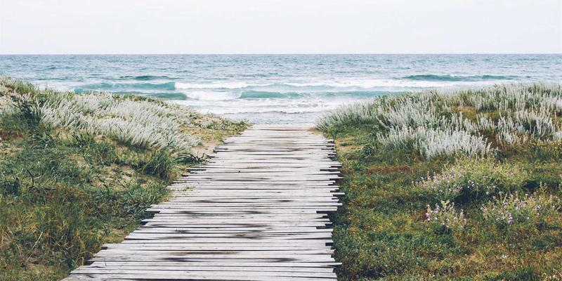 长沙学车避坑指南:如何通过真实学员评价筛选靠谱教练(附权威查询平台)