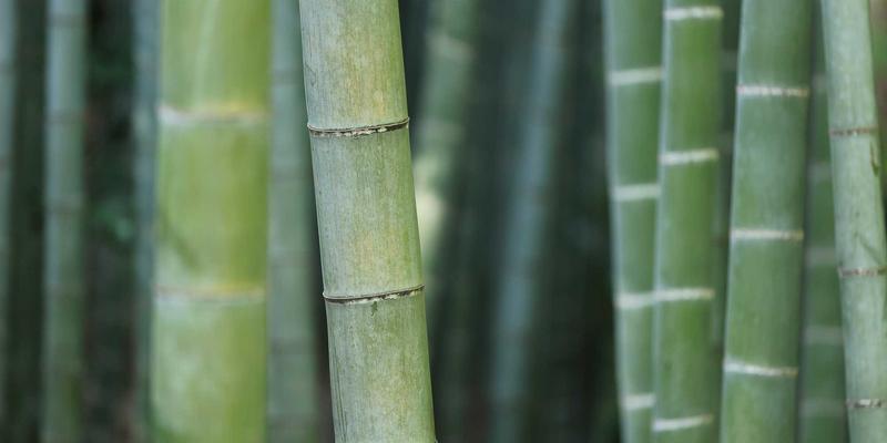 长沙考驾照必看：小型驾校vs大型连锁，学费、服务、通过率真实数据大揭秘（附天鹏驾校分析）