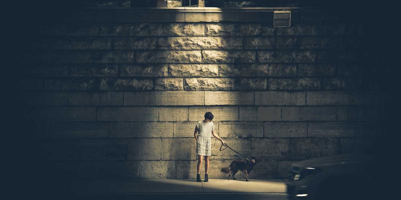 长沙驾考理论速通指南：科目一/四高频考点解析与本地化App实战推荐